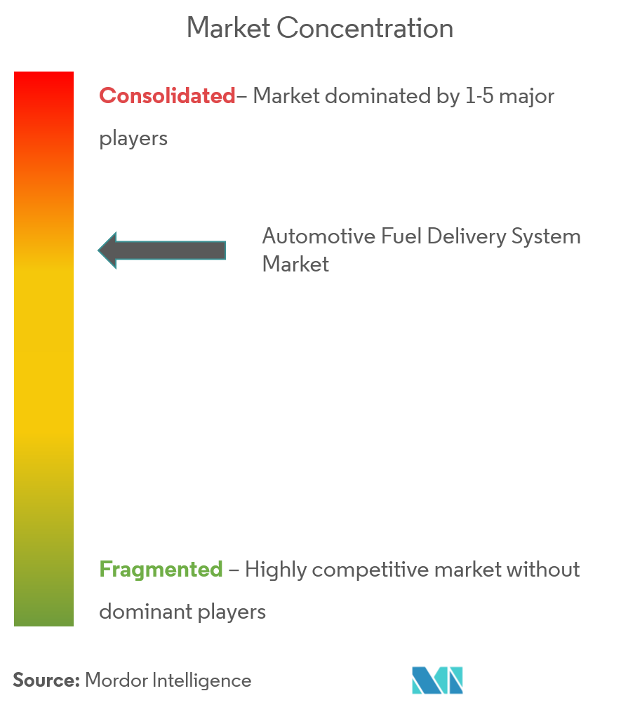 Automotive Fuel Delivery System Market Concentration